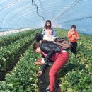 쌍림농장 이미지