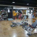 몸짱휘트니스 이미지