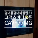 평내9통(유진마젤란) | 경기도 남양주시 평내동 평내마젤란21아파트 코맥스 비디오폰 CAV-77MG 시공후기
