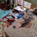 만수1동 행정복지센터 이미지