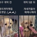카페;혜 이미지