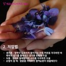 복부&발관리