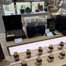 롯데강남바라기한약국 이미지