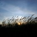 경인아라뱃길 시천교 이미지