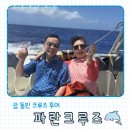 파란 | 괌 파란크루즈 돌고래투어 도시락 내돈내산 솔직후기