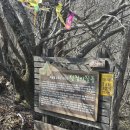 명산사슴농장 | [등산리뷰, 영남알프스] 간월산 - 신불산 연계산행 등산코스 후기 (선짐이질등길 최단코스)