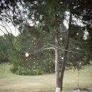 자연과함께(주) 이미지