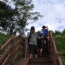 하동솔밭오리 이미지