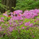 능길역 2번출구 이미지