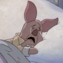 행운냥이 이미지