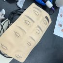 쉽게 배우는 기초 서양화 | 수원눈썹반영구수강 꿀팁, 기초부터 실무까지 한 번에 배우는 법