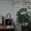 법무사심은경사무소