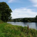 오리노코(orinoco) 이미지