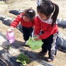 솔빛농장 이미지