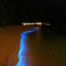 익스트림에스 홍대 이미지