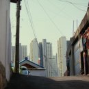 독쟁이3 이미지