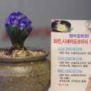 송이헤어샵 - 북구 | 송이헤어샵