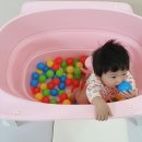 아기욕조 끝판왕 스에노 스완 DX 볼풀장으로 변신 !