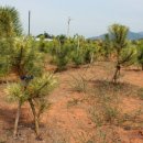 남송농원 이미지