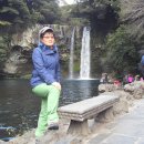 천지연폭포 이미지