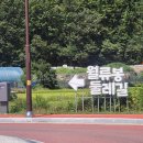 월류봉 둘레길 완정교 화장실 이미지