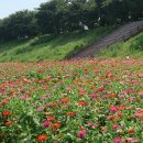 아이누리 새빛