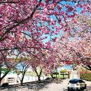 오량초등학교 이미지