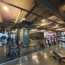 레드스타필드 휘트니스 이미지