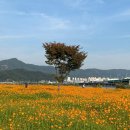 계절맛집 - 남구 | 계절맛집