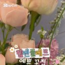 헬렌플레르