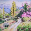 복숭아꽃 살구꽃 이미지