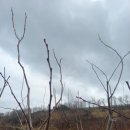 목골농장 이미지