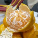 견우한의원 이미지