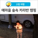 예숲 이미지