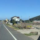 요거 프레소 | 요거프레소 메리딸기 제주 성산점에서 추억소환