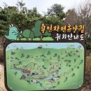 느랭이골 자연휴양림 일반야영장 | 용인자연휴양림 캠핑장! 12번 사이트, 텐트 크기, 매점, 전동카트 후기