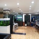 라데팡스안경 이미지