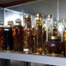 한빛건강원 이미지