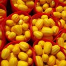 유가네농장 이미지