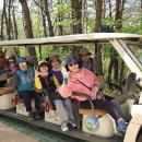 돌리네습지주차장 이미지