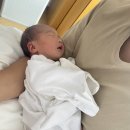 한국전력공사(본관3층) | [출산후기] 곽여성병원 제왕절개비용 / 제왕절개 2일차