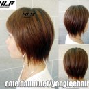 그라데이션 Daum카페