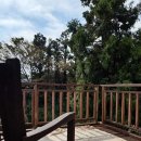 제주도작은집 작은별 이미지