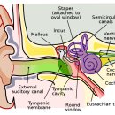 대세당한의원 이미지