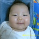 희주 Daum카페