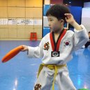 대산태권도 이미지