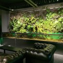 아쿠아가든카페 양재점 이미지