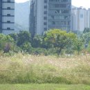 종합청사 이미지