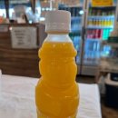 하귀의원 | 제주살이 9일째, 무릎통증으로 카카오 본사 외관 구경으로 마무리