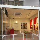 599 | 제주시애견미용 찾다가 대박 발견! 599애견미용 후기